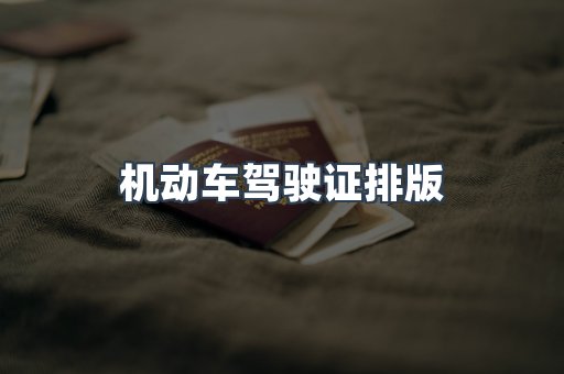 机动车驾驶证排版